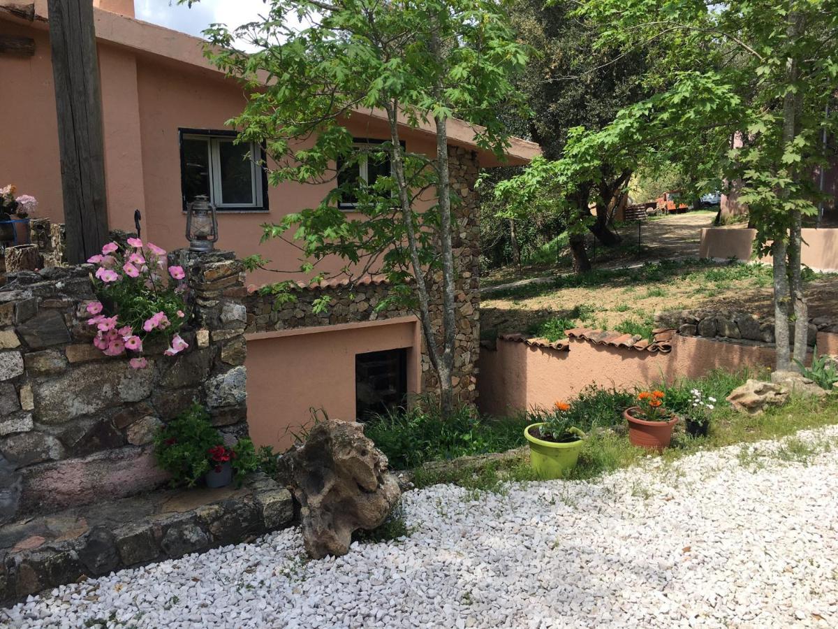 Azienda Agrituristica S'Argalasi - B&B - Affittacamere Loc S'Argalasi Austis Exterior foto